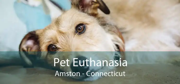 Pet Euthanasia Amston - Connecticut