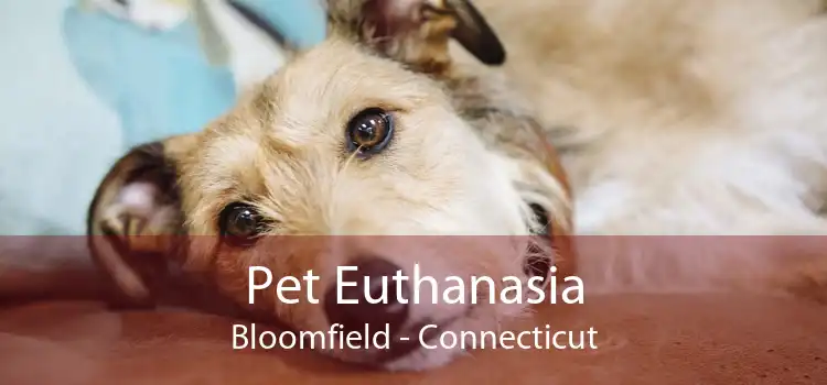 Pet Euthanasia Bloomfield - Connecticut