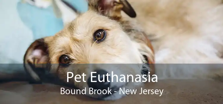 Pet Euthanasia Bound Brook - New Jersey
