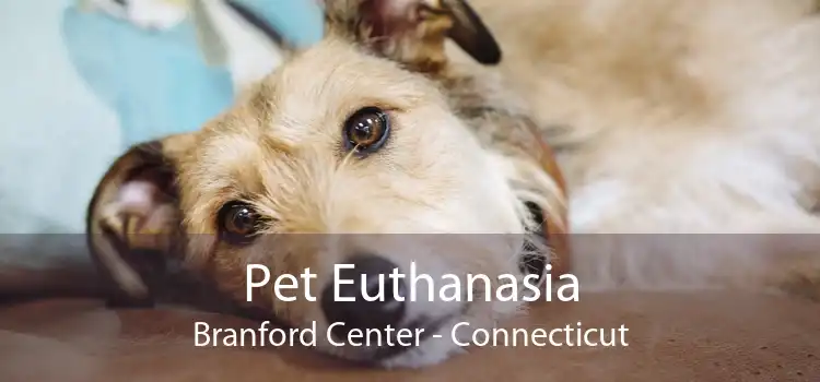 Pet Euthanasia Branford Center - Connecticut
