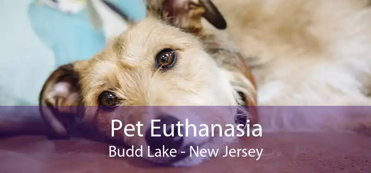 Pet Euthanasia Budd Lake - New Jersey