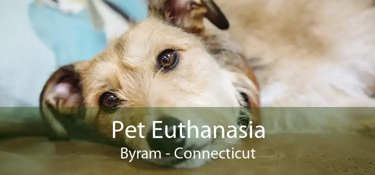 Pet Euthanasia Byram - Connecticut