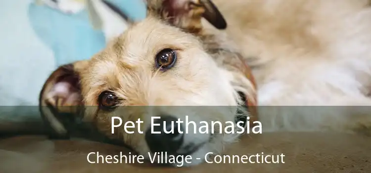 Pet Euthanasia Cheshire Village - Connecticut