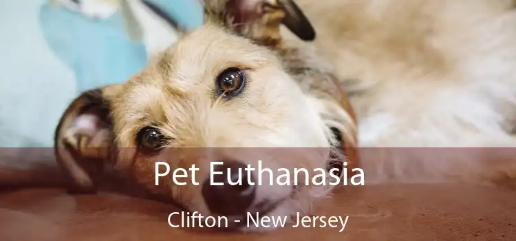 Pet Euthanasia Clifton - New Jersey