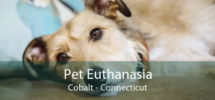 Pet Euthanasia Cobalt - Connecticut