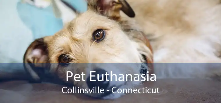 Pet Euthanasia Collinsville - Connecticut