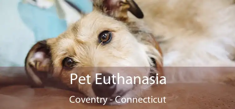 Pet Euthanasia Coventry - Connecticut