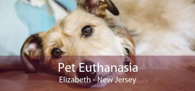 Pet Euthanasia Elizabeth - New Jersey