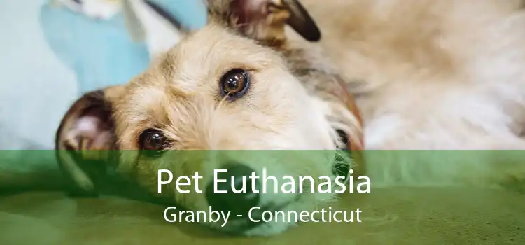 Pet Euthanasia Granby - Connecticut