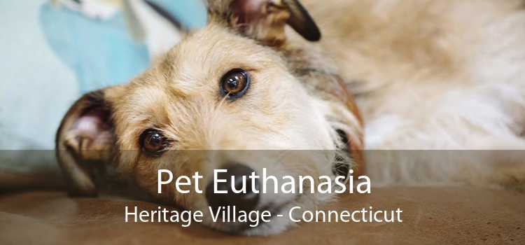 Pet Euthanasia Heritage Village - Connecticut
