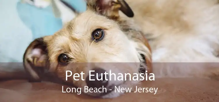 Pet Euthanasia Long Beach - New Jersey
