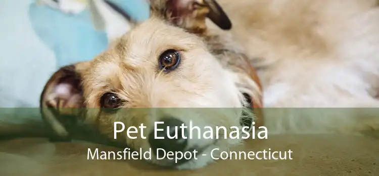 Pet Euthanasia Mansfield Depot - Connecticut