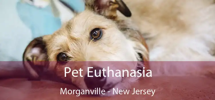 Pet Euthanasia Morganville - New Jersey