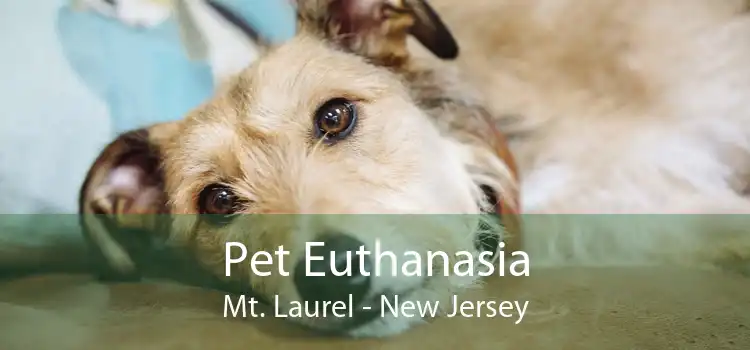 Pet Euthanasia Mt. Laurel - New Jersey