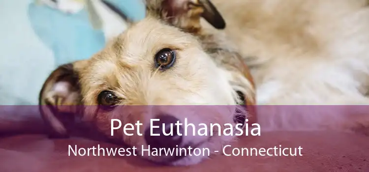 Pet Euthanasia Northwest Harwinton - Connecticut