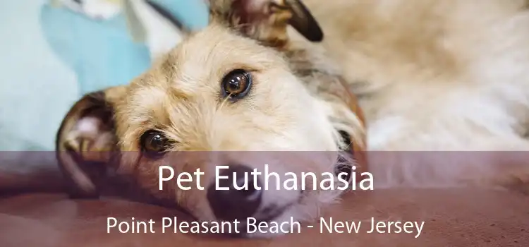 Pet Euthanasia Point Pleasant Beach - New Jersey