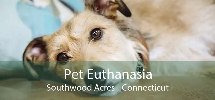 Pet Euthanasia Southwood Acres - Connecticut