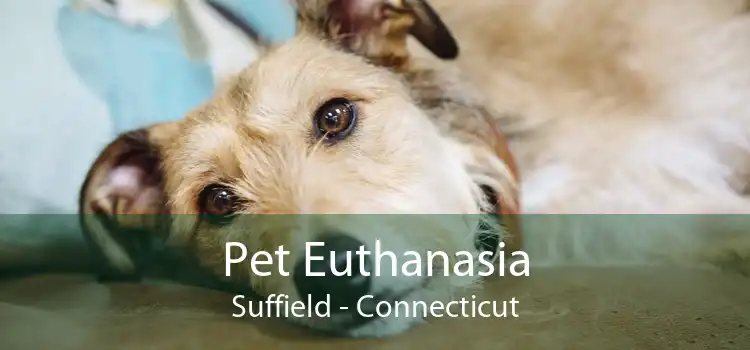 Pet Euthanasia Suffield - Connecticut