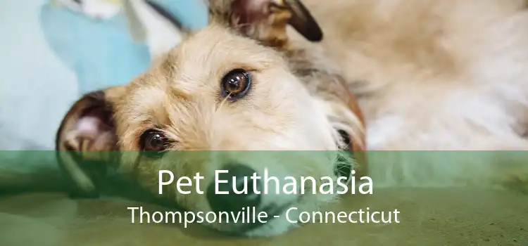 Pet Euthanasia Thompsonville - Connecticut