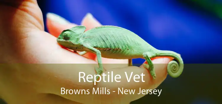 Reptile Vet Browns Mills - New Jersey