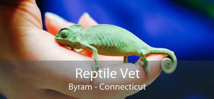 Reptile Vet Byram - Connecticut