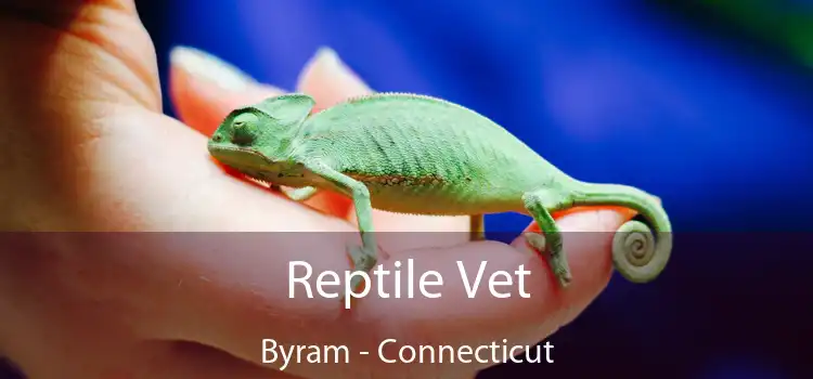 Reptile Vet Byram - Connecticut