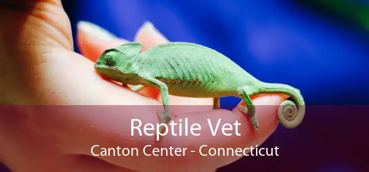 Reptile Vet Canton Center - Connecticut
