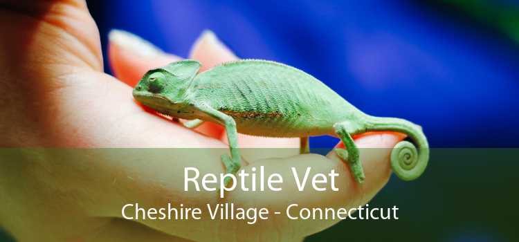 Reptile Vet Cheshire Village - Connecticut