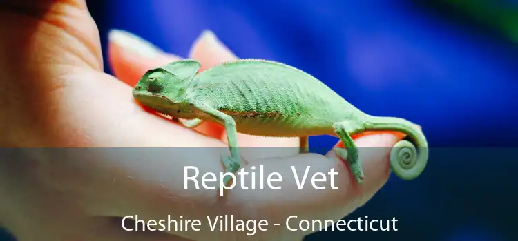 Reptile Vet Cheshire Village - Connecticut