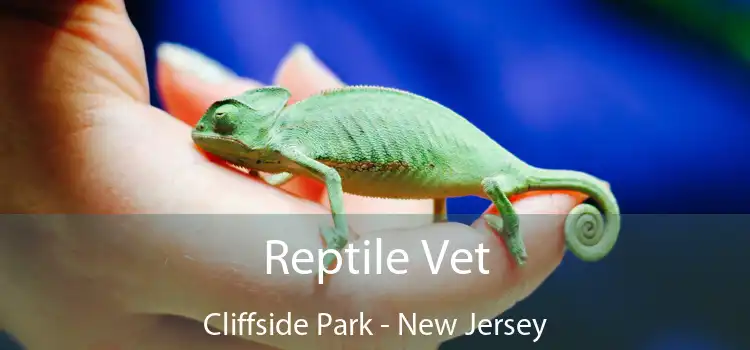 Reptile Vet Cliffside Park - New Jersey