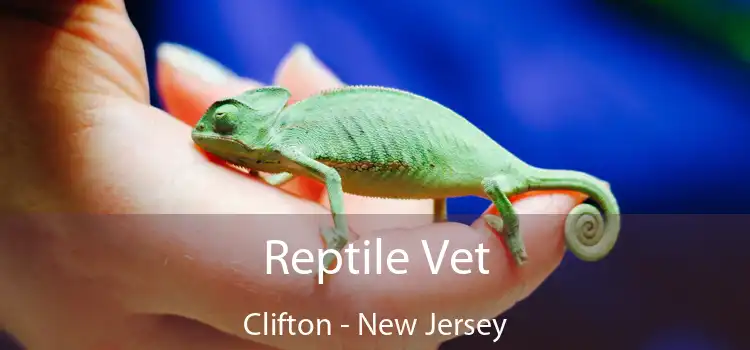 Reptile Vet Clifton - New Jersey