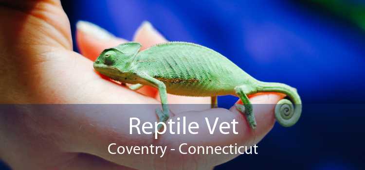 Reptile Vet Coventry - Connecticut