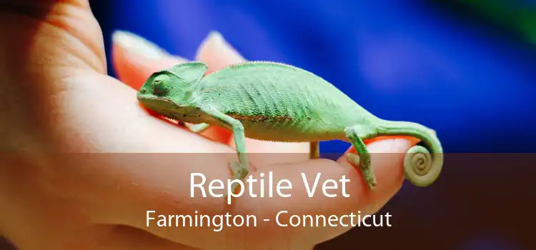 Reptile Vet Farmington - Connecticut