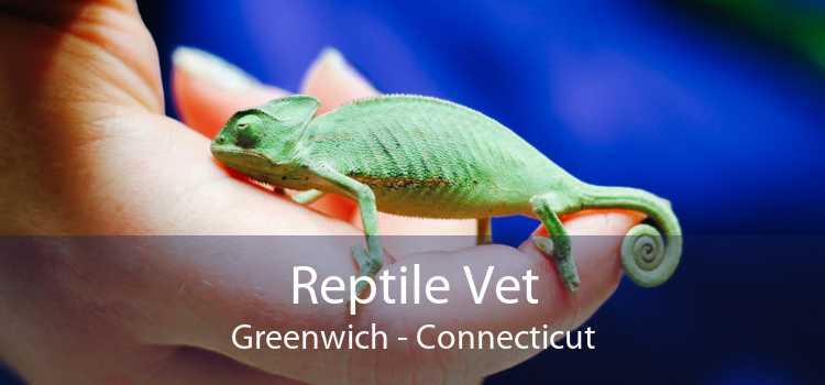 Reptile Vet Greenwich - Connecticut