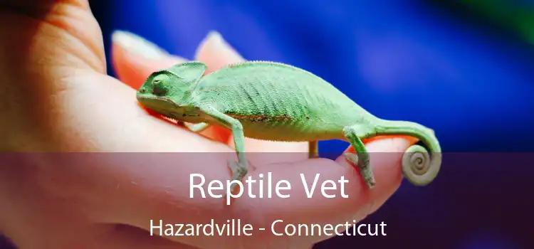 Reptile Vet Hazardville - Connecticut