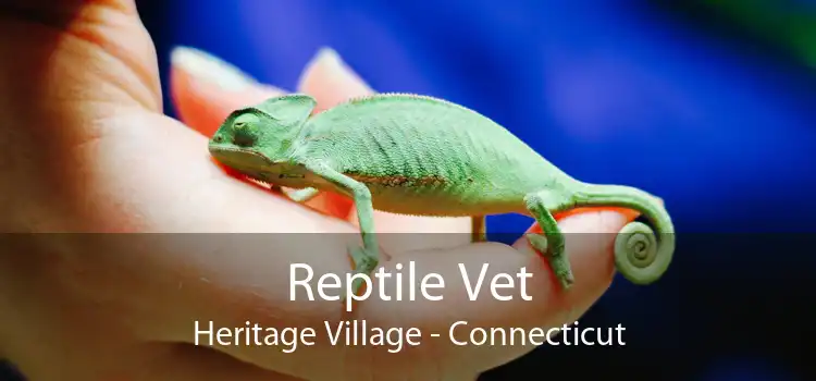 Reptile Vet Heritage Village - Connecticut