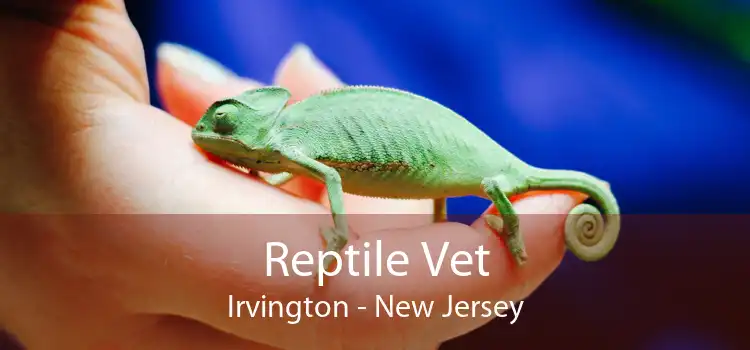 Reptile Vet Irvington - New Jersey