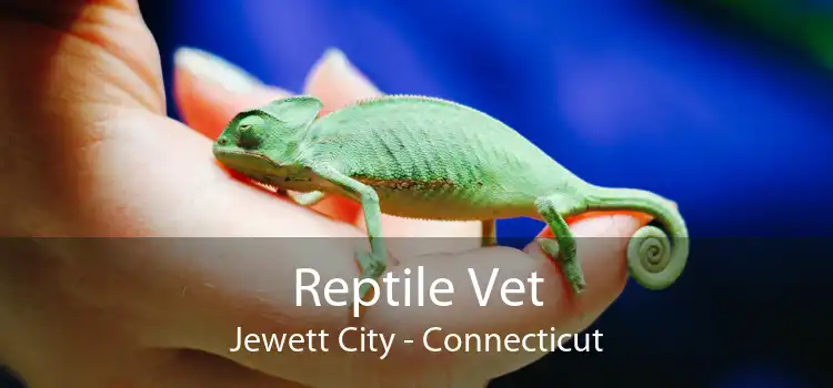 Reptile Vet Jewett City - Connecticut