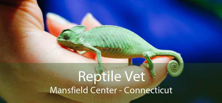 Reptile Vet Mansfield Center - Connecticut