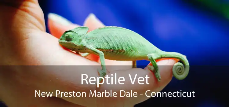 Reptile Vet New Preston Marble Dale - Connecticut