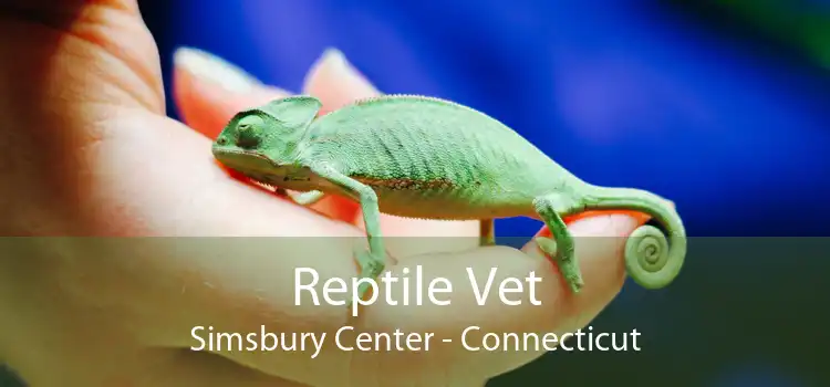 Reptile Vet Simsbury Center - Connecticut