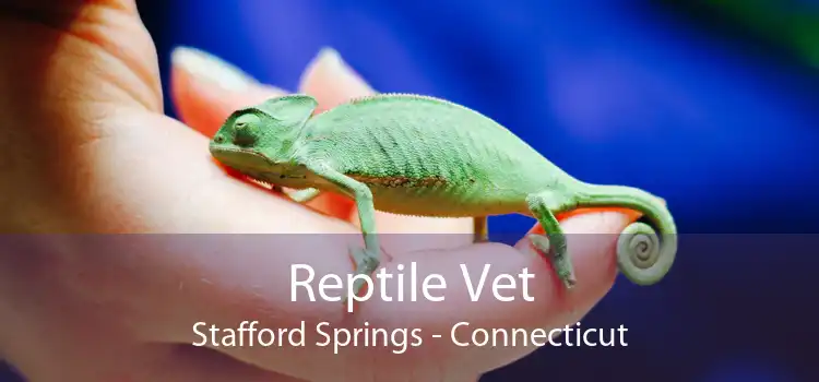 Reptile Vet Stafford Springs - Connecticut