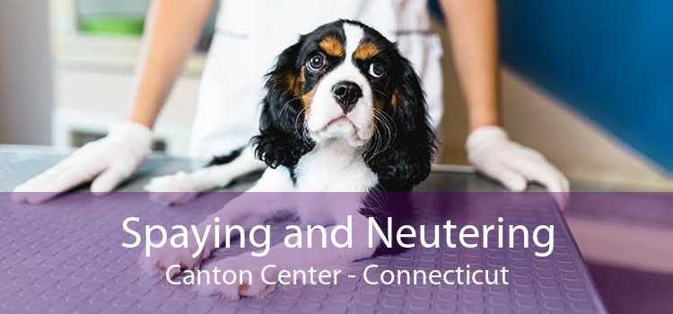 Spaying and Neutering Canton Center - Connecticut