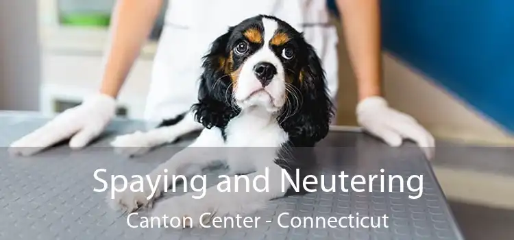 Spaying and Neutering Canton Center - Connecticut