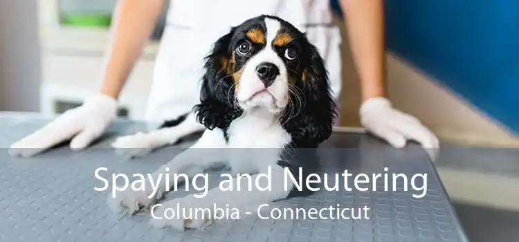Spaying and Neutering Columbia - Connecticut