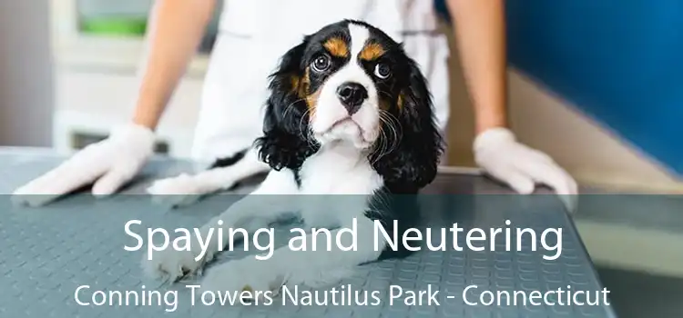 Spaying and Neutering Conning Towers Nautilus Park - Connecticut