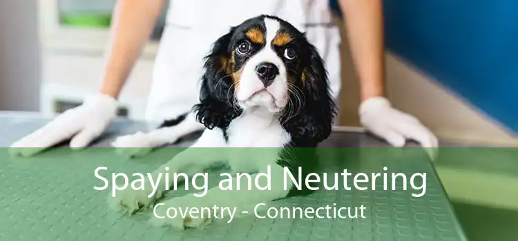 Spaying and Neutering Coventry - Connecticut