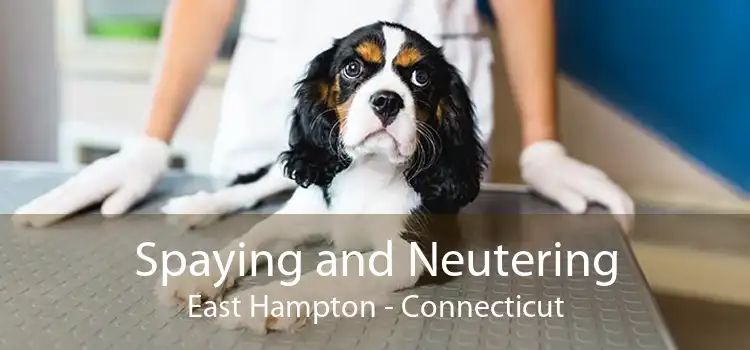 Spaying and Neutering East Hampton - Connecticut