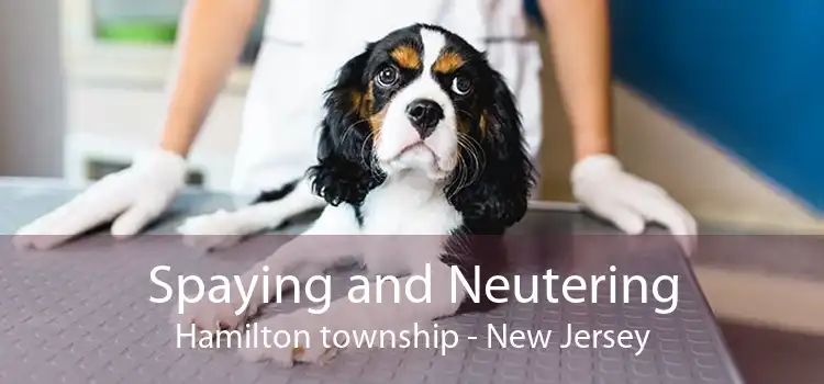 Spaying and Neutering Hamilton township - New Jersey