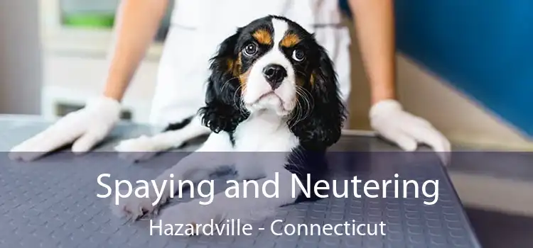 Spaying and Neutering Hazardville - Connecticut